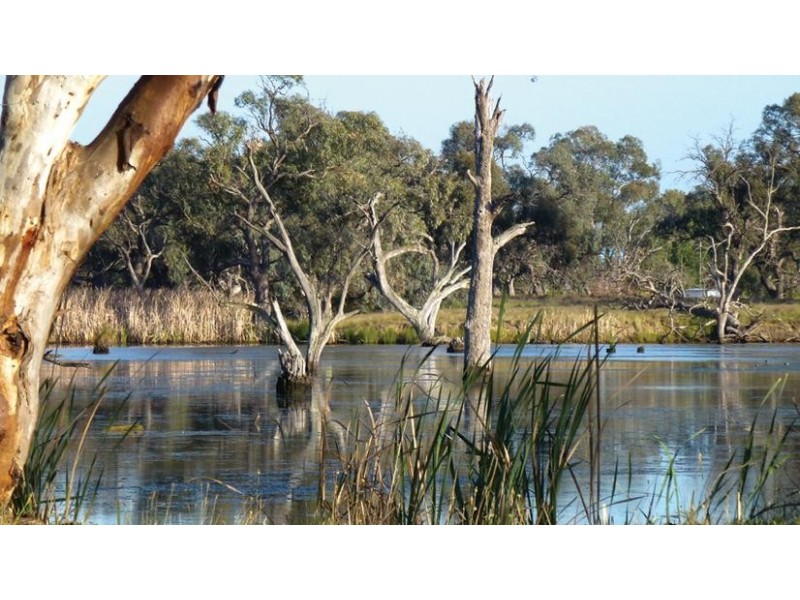 126a School Road, Echuca VIC 3564