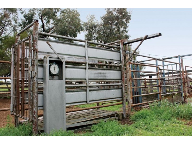 126a School Road, Echuca VIC 3564