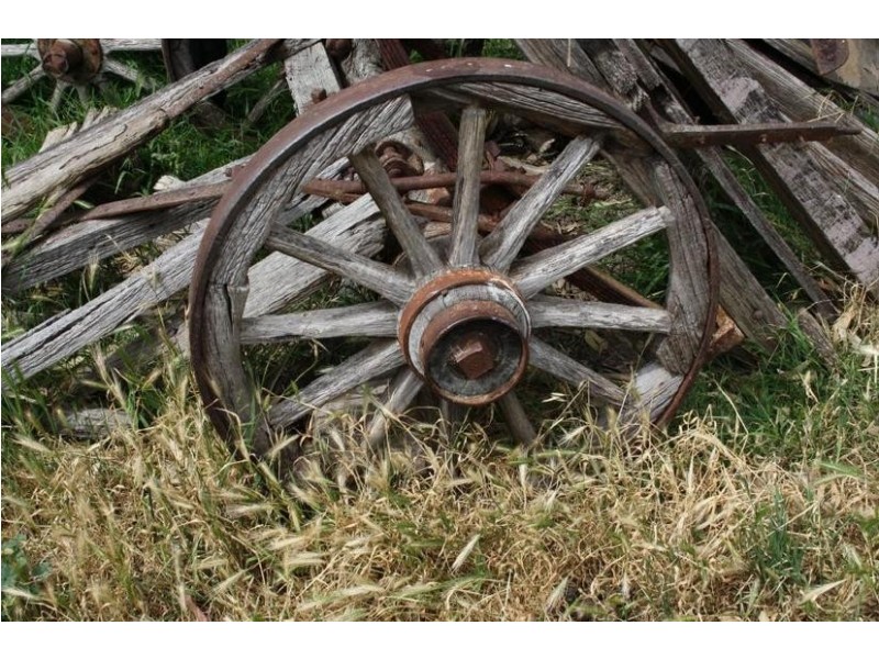 367B Brown Road – Clearing Sale, Echuca VIC 3564