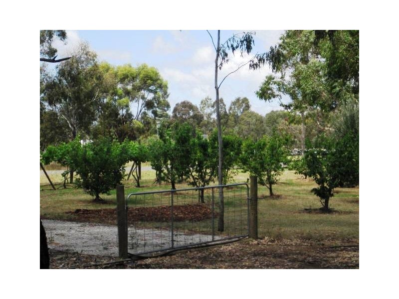 1 Lignum Lane, Moama NSW 2731