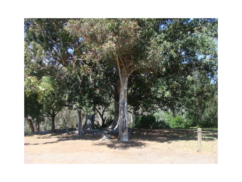 1/6 Berry Street, Moama NSW 2731