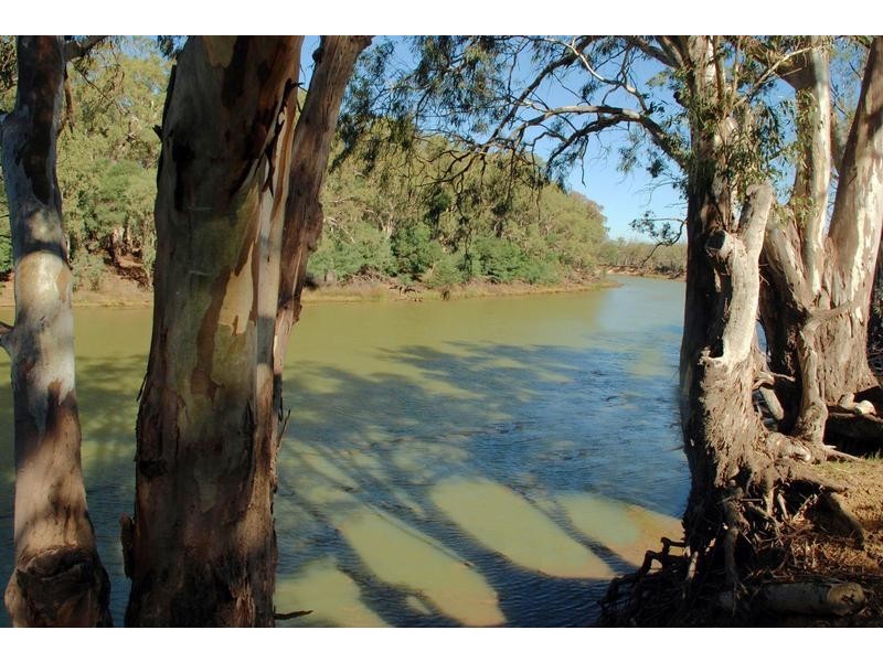 206 Wharparilla Drive, Echuca VIC 3564