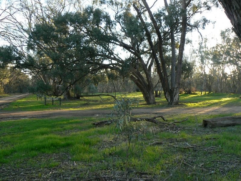 Lot 16 Forest Street, Mathoura NSW 2710