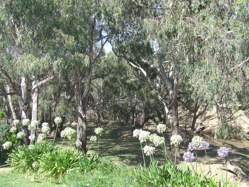 70 Rutley Crescent, Echuca VIC 3564