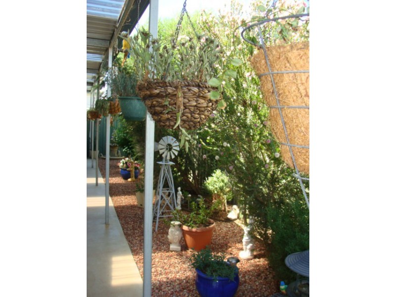 13 Coolabah Court, Moama NSW 2731