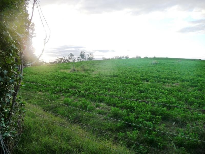 2 Pavone Road, Gunbower VIC 3566