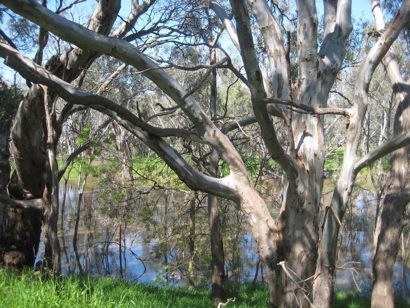 35 Campaspe Esplanade, Echuca VIC 3564