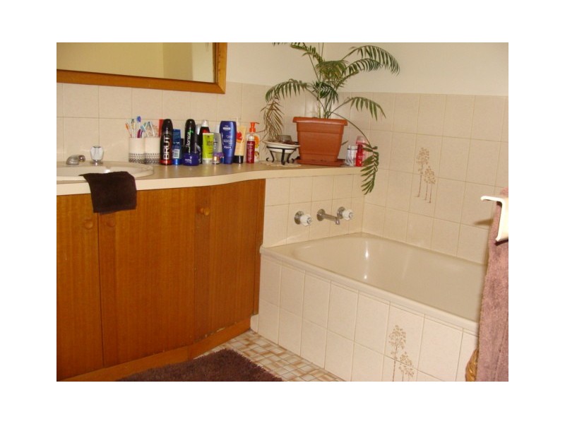 15 Horne Street, Echuca VIC 3564