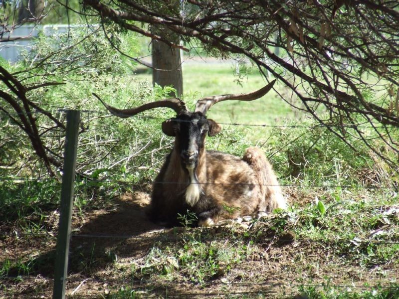 718 Stratton Road, Echuca VIC 3564