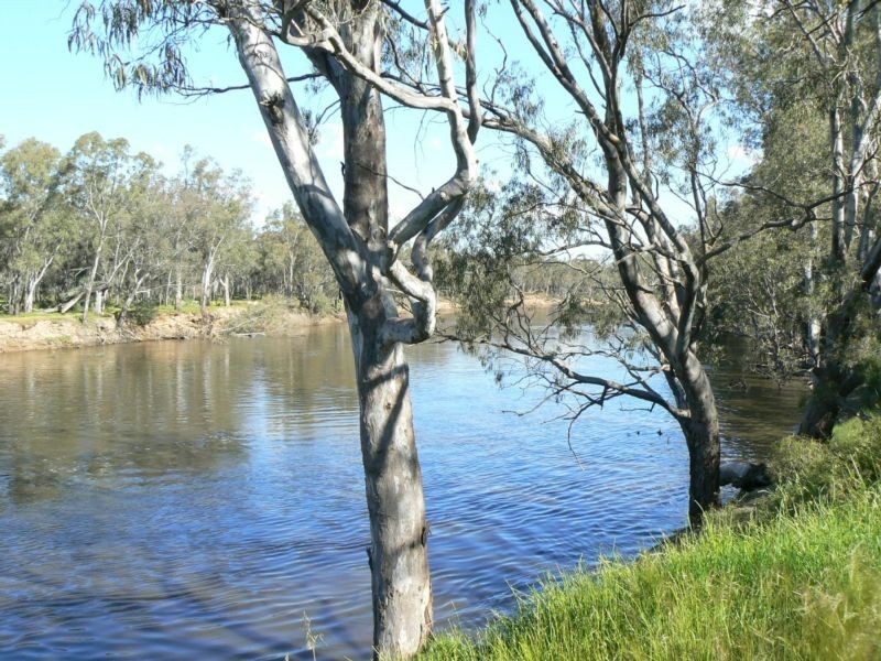 64 Moorabinda Road, Echuca VIC 3564