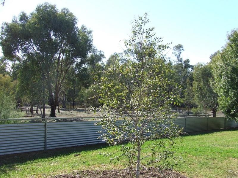 178 Latham Road, Echuca VIC 3564