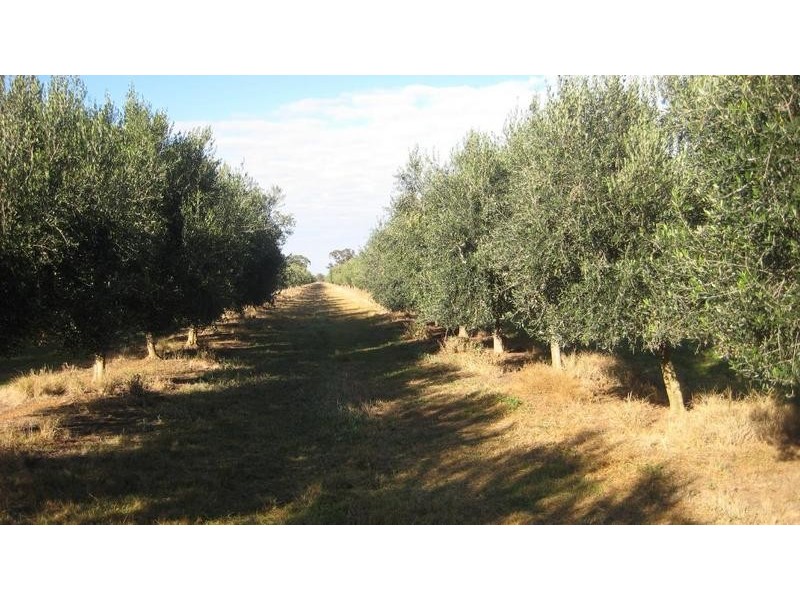 1 Centre Road, Moama NSW 2731