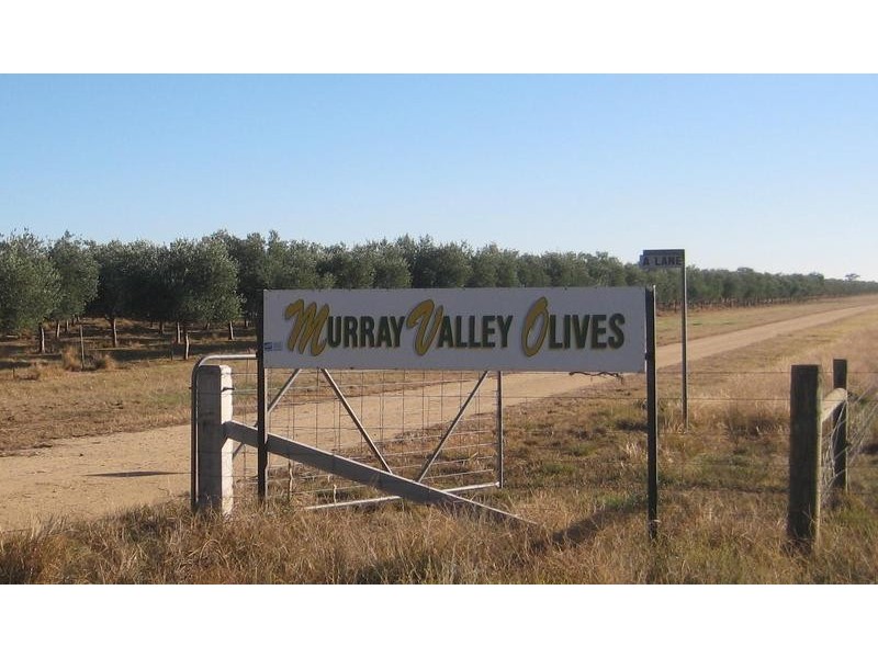 1 Centre Road, Moama NSW 2731