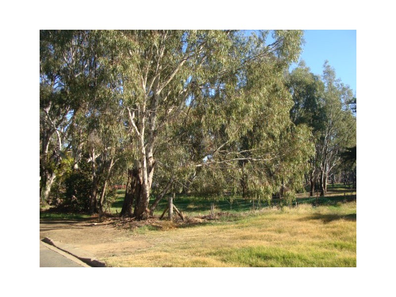 6 Martin Street, Echuca VIC 3564