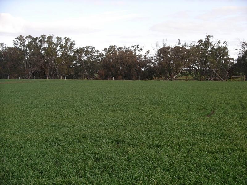 00 via Pianta Road, Echuca VIC 3564