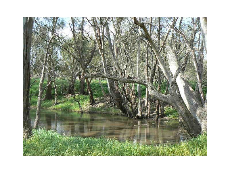 Lot S5, 1 Schoeffel Drive, Echuca VIC 3564