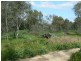 Lot S5, 1 Schoeffel Drive, Echuca VIC 3564