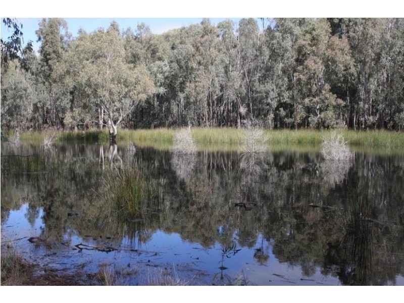 44 Picnic Point Road, Mathoura NSW 2710