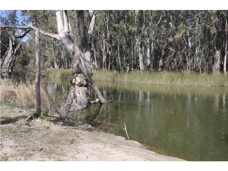 44 Picnic Point Road, Mathoura NSW 2710