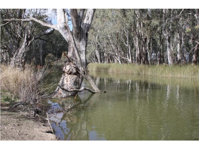 44 Picnic Point Road, Mathoura NSW 2710