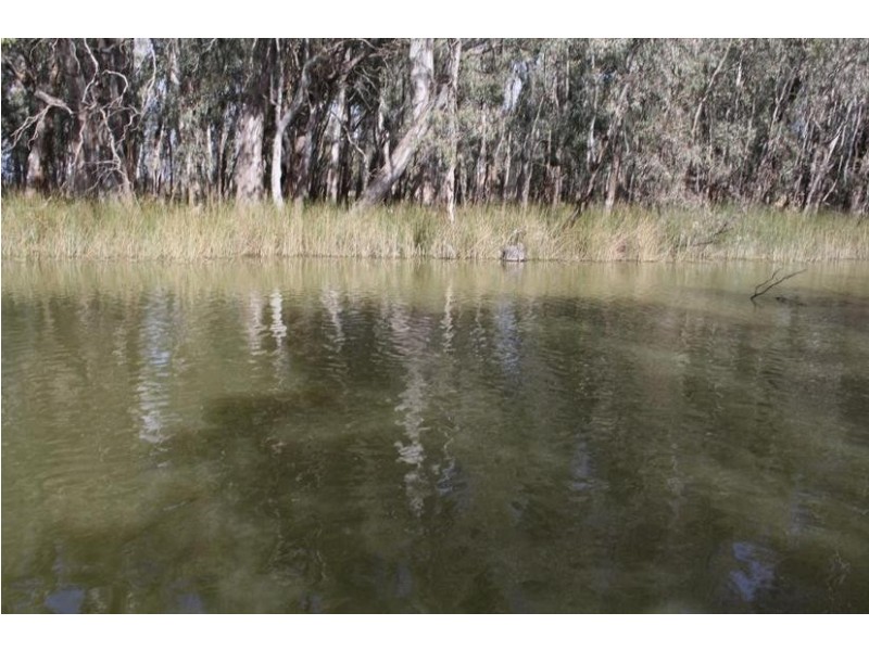 44 Picnic Point Road, Mathoura NSW 2710