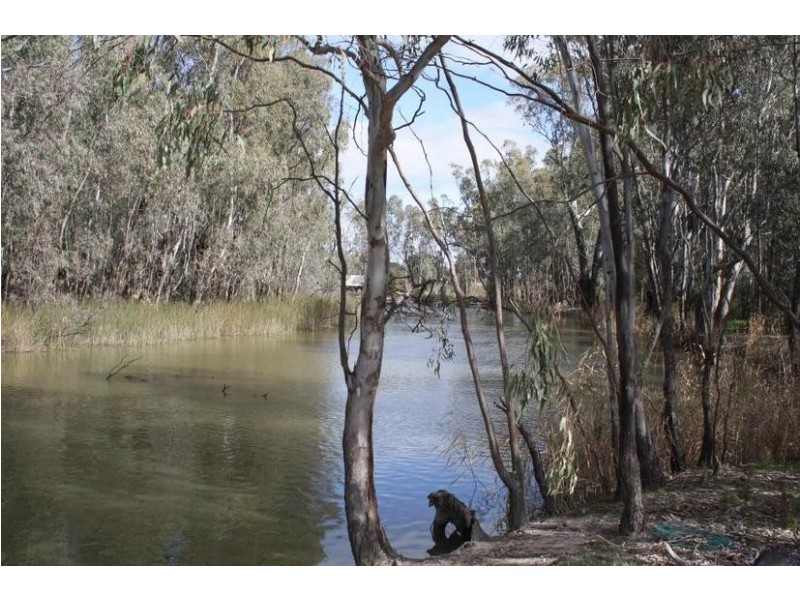 44 Picnic Point Road, Mathoura NSW 2710