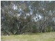 598 Anderson Road, Echuca VIC 3564