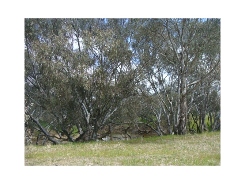 598 Anderson Road, Echuca VIC 3564