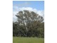 598 Anderson Road, Echuca VIC 3564
