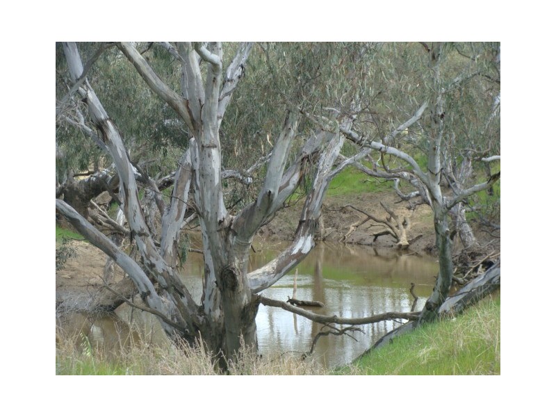 598 Anderson Road, Echuca VIC 3564