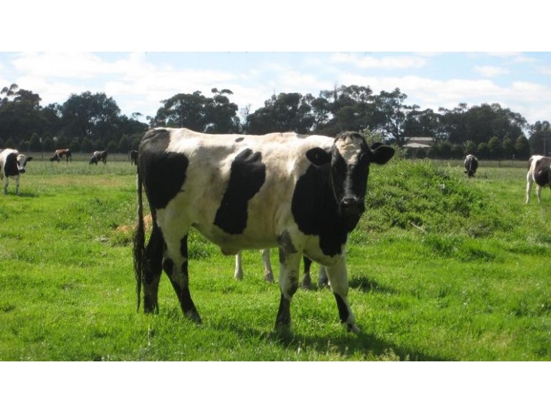 357 Mitchell Road, Echuca VIC 3564