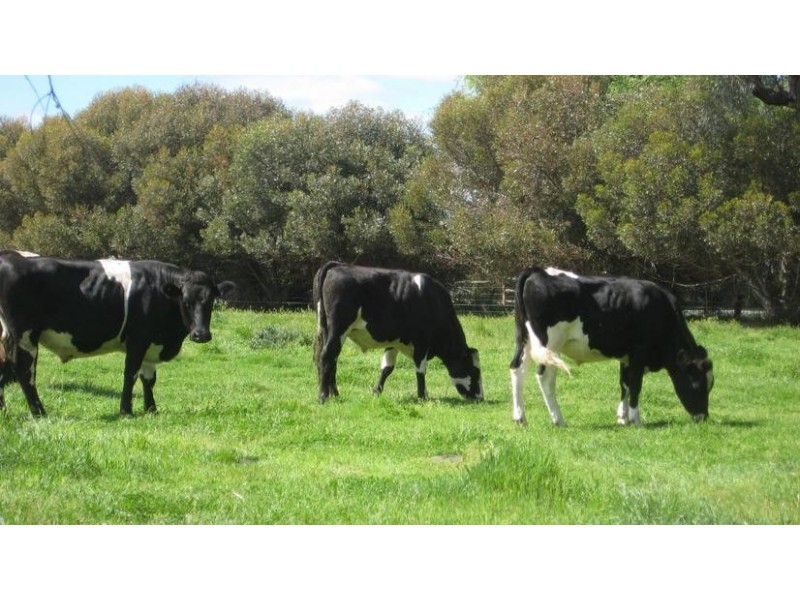 357a Mitchell Road, Echuca VIC 3564