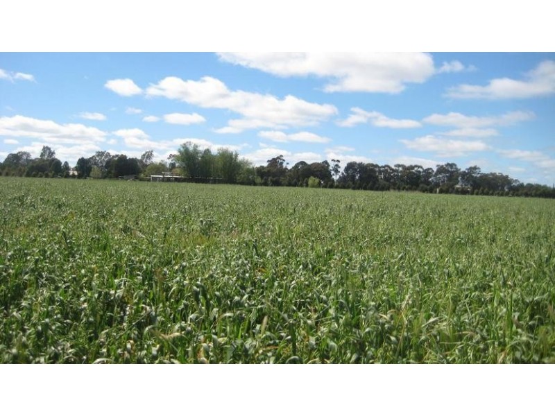 357a Mitchell Road, Echuca VIC 3564