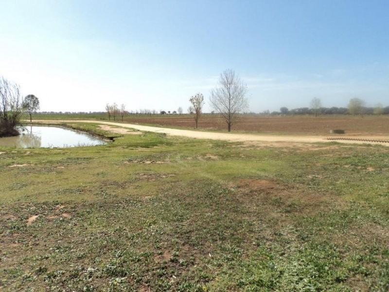 1 Goldsborough Road, Moama NSW 2731