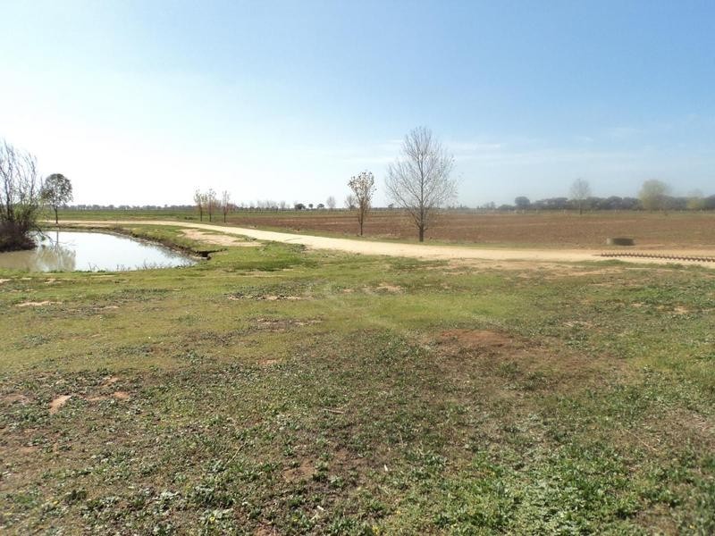 Lot 1 Goldsborough Road, Moama NSW 2731