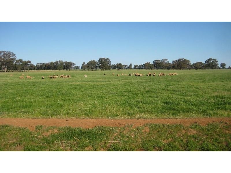 520a Thyra Road, Moama NSW 2731