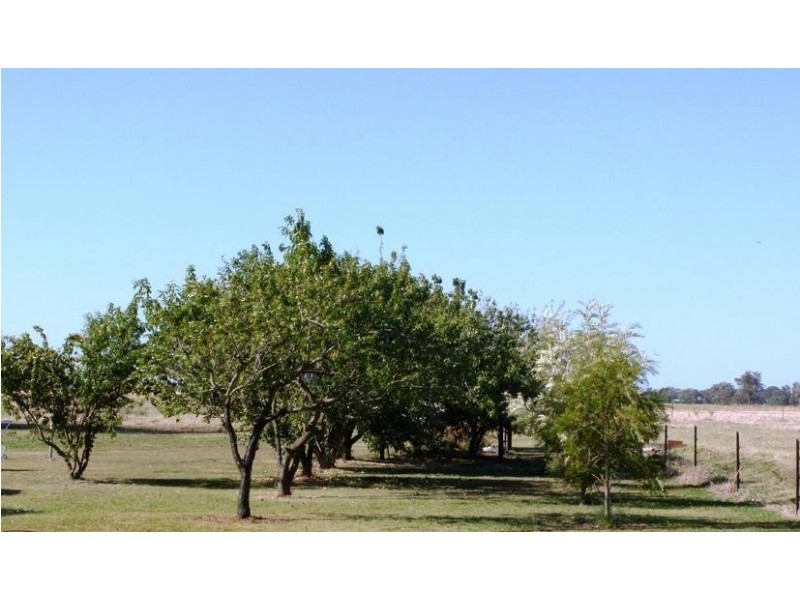 650 Carroll Road, Echuca VIC 3564