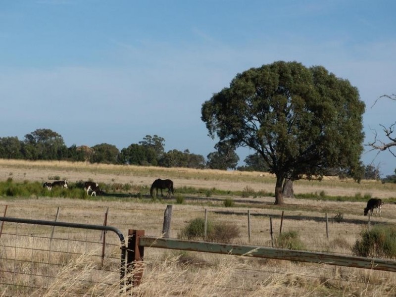 650 Carroll Road, Echuca VIC 3564