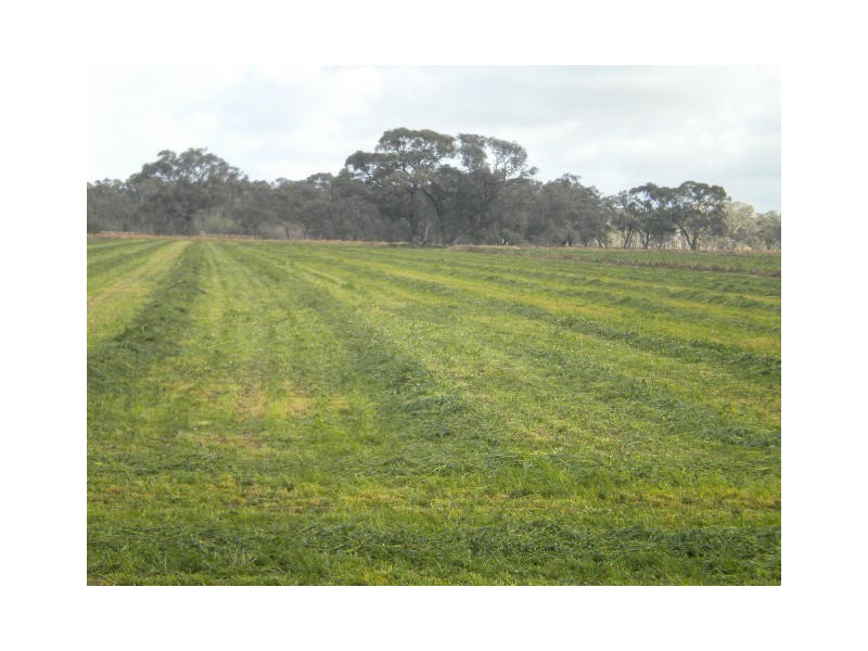 00 Matthews Road, Gunbower VIC 3566