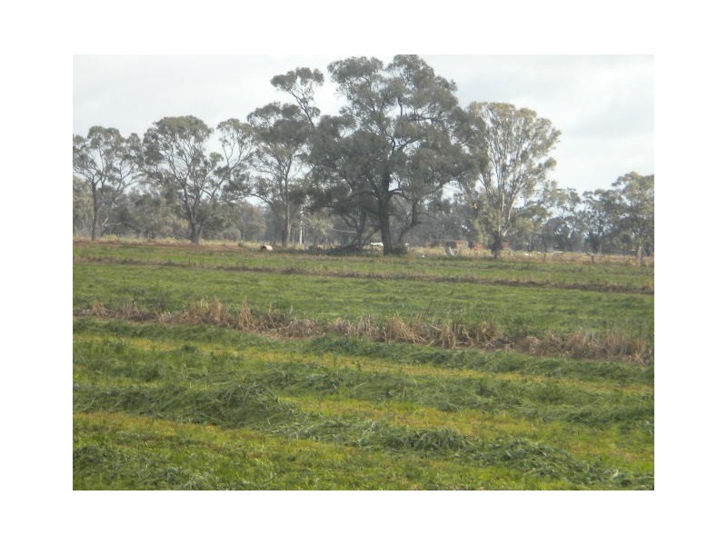 00 Matthews Road, Gunbower VIC 3566