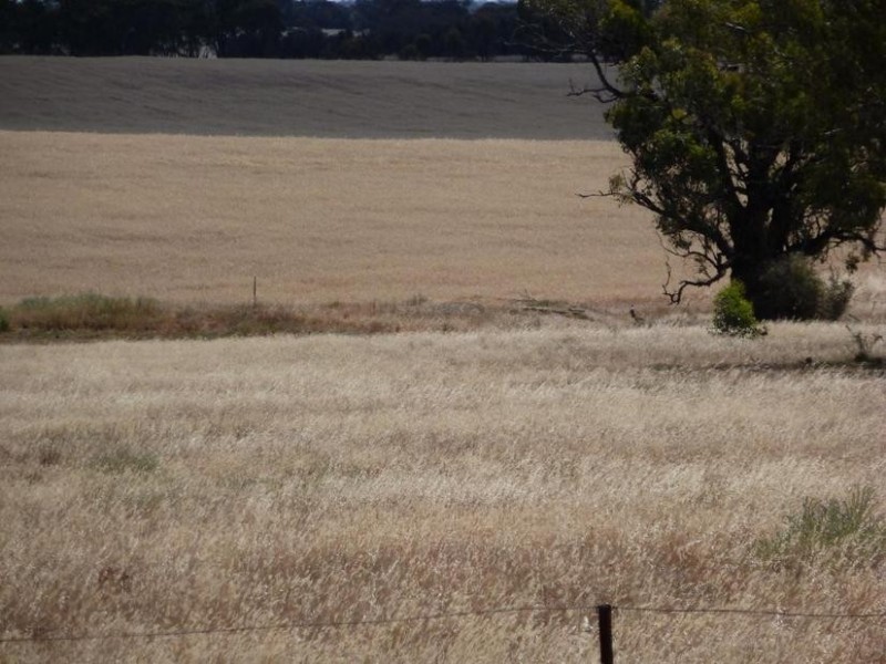 15 Heathcote-Rochester Road, Rochester VIC 3561