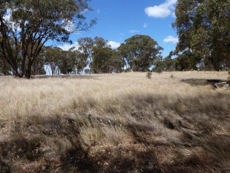 15 Heathcote-Rochester Road, Rochester VIC 3561