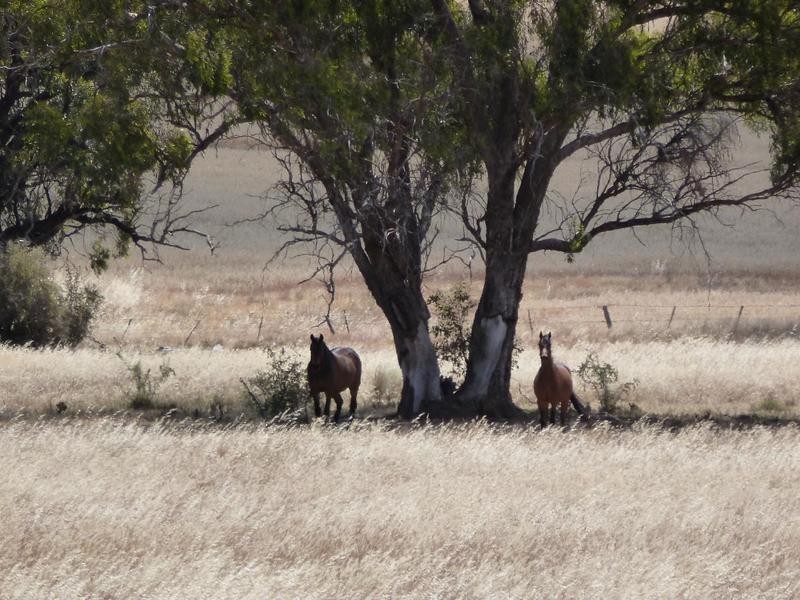 15a Heathcote-Rochester Road, Rochester VIC 3561