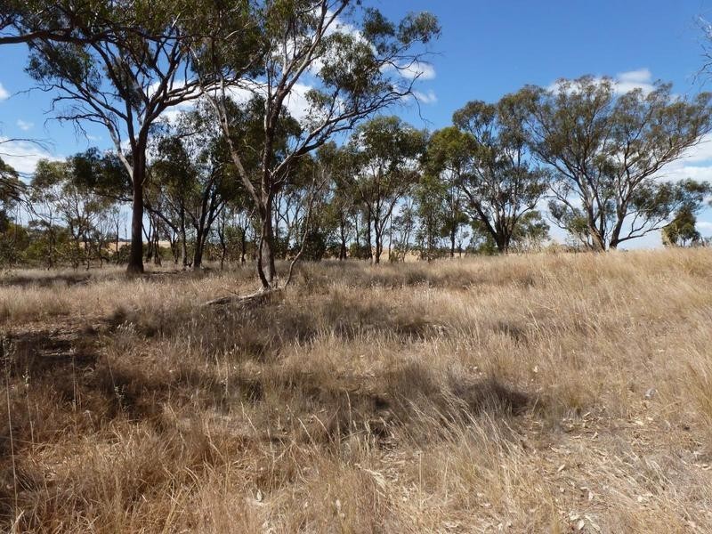 15a Heathcote-Rochester Road, Rochester VIC 3561