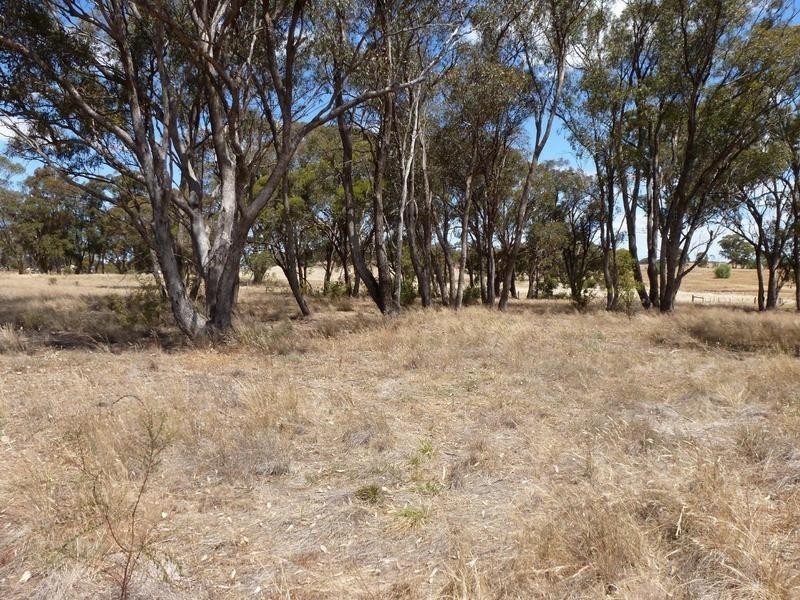 15a Heathcote-Rochester Road, Rochester VIC 3561