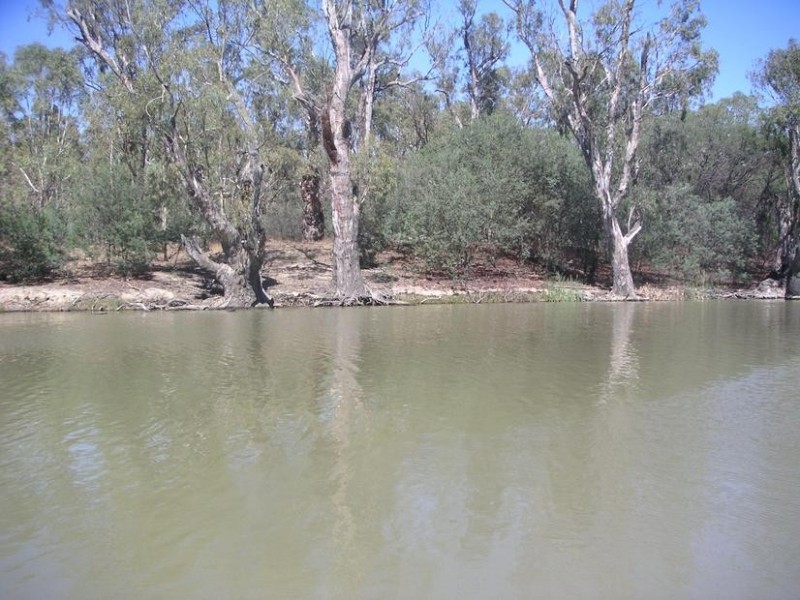 Pole 47 Perricoota Road, Moama NSW 2731