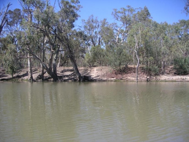 Pole 47 Perricoota Road, Moama NSW 2731