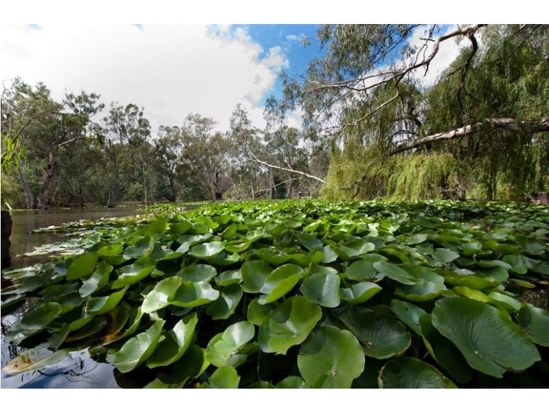 208 Wharparilla Drive, Echuca VIC 3564