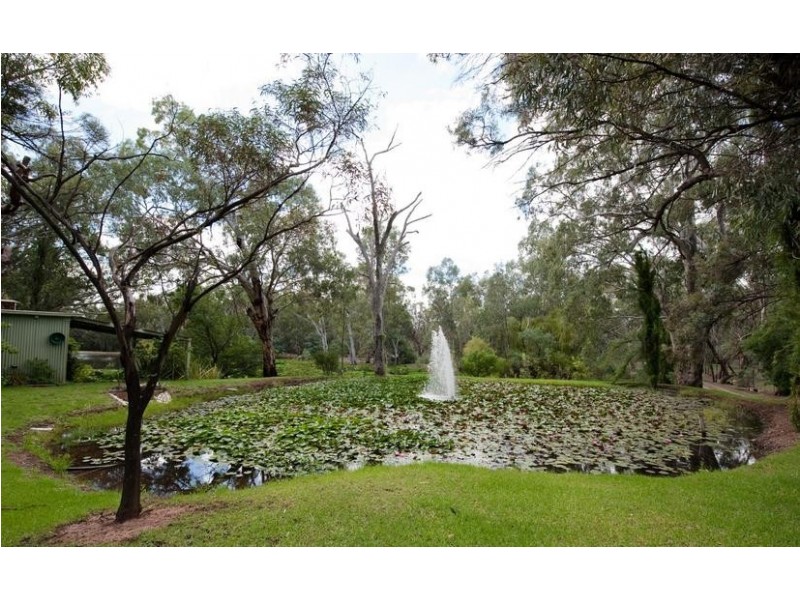 208 Wharparilla Drive, Echuca VIC 3564