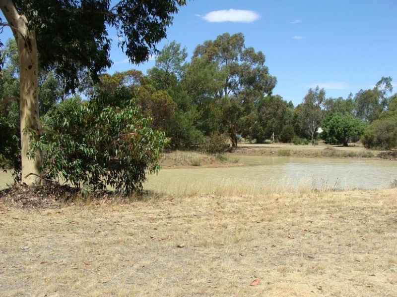 12 Riverview Court, Echuca VIC 3564